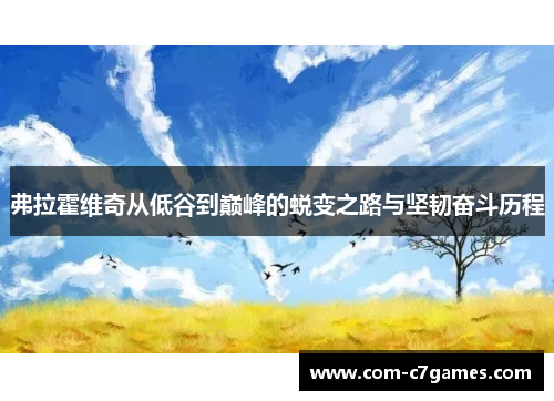 弗拉霍维奇从低谷到巅峰的蜕变之路与坚韧奋斗历程
