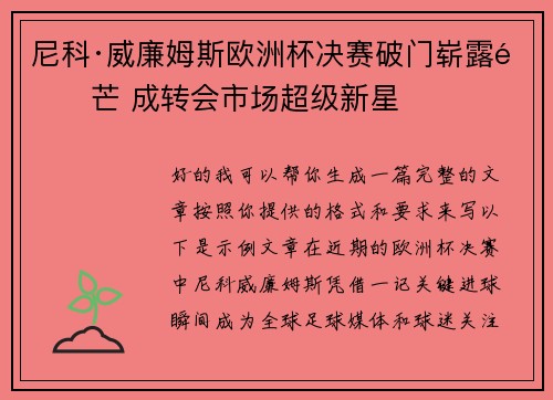 尼科·威廉姆斯欧洲杯决赛破门崭露锋芒 成转会市场超级新星
